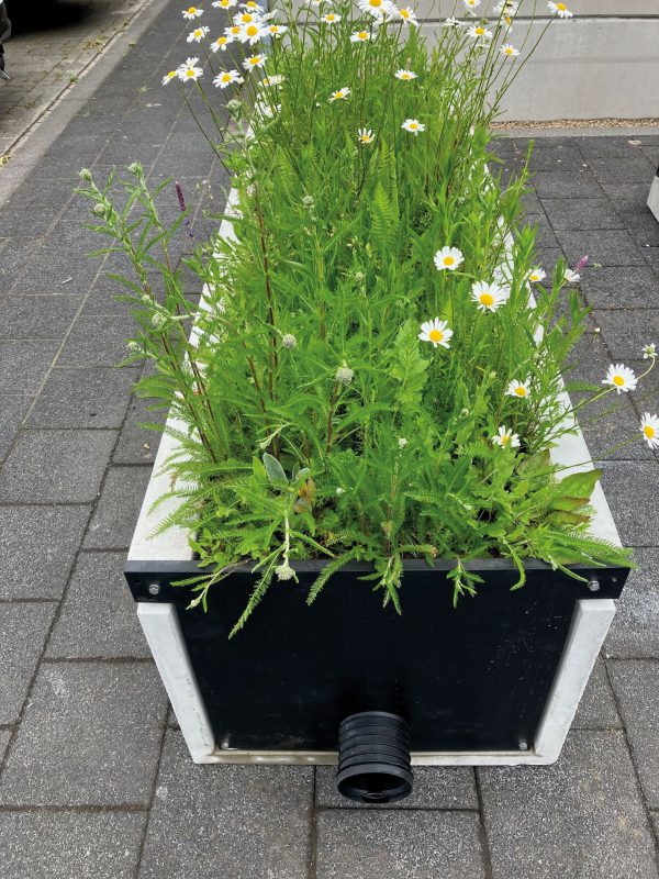 Mini Raingarden, Het groene en zuiverende infiltratievoorziening.