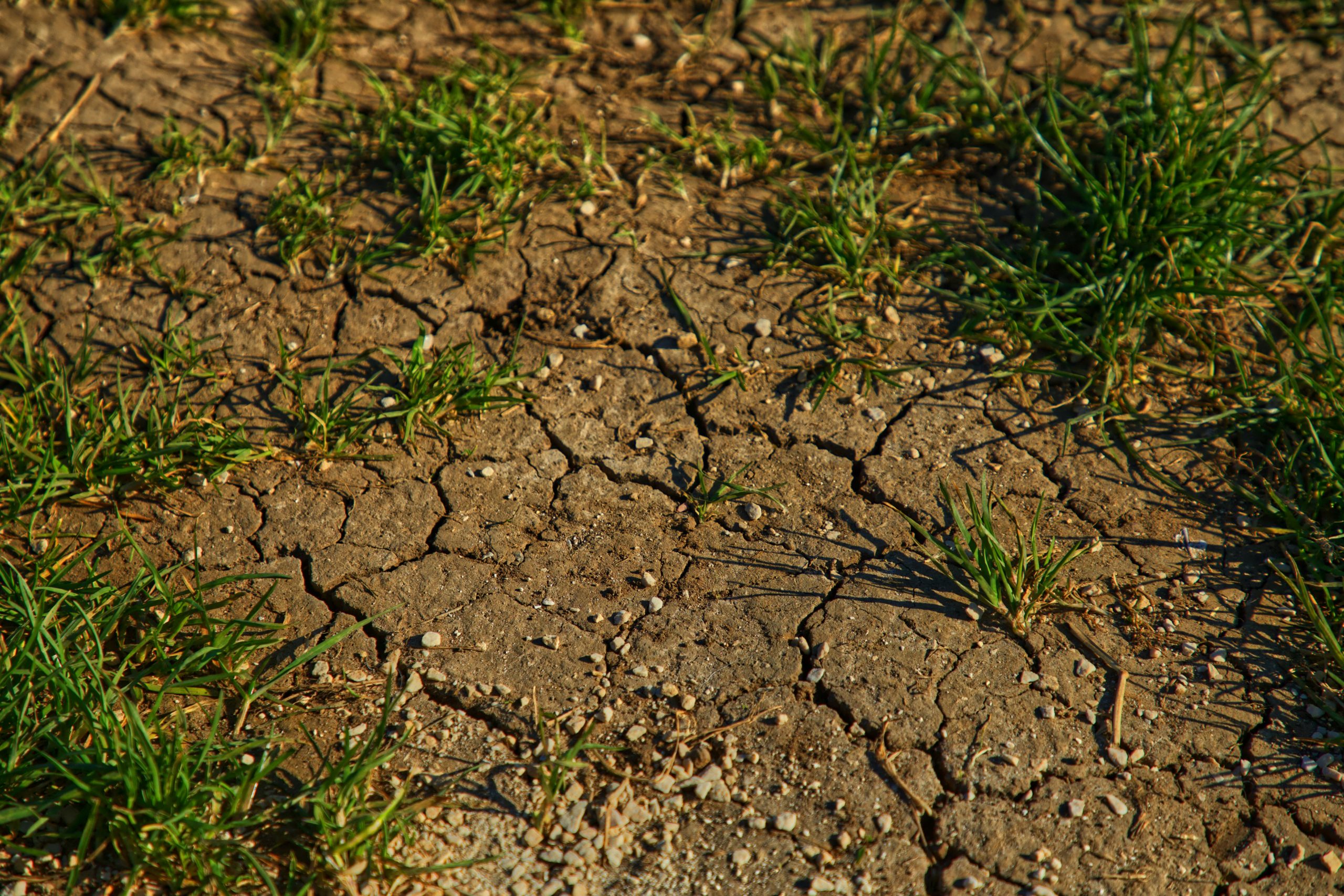 Voorkom wateroverlast en zorg voor een toekomstbestendige infrastructuur.